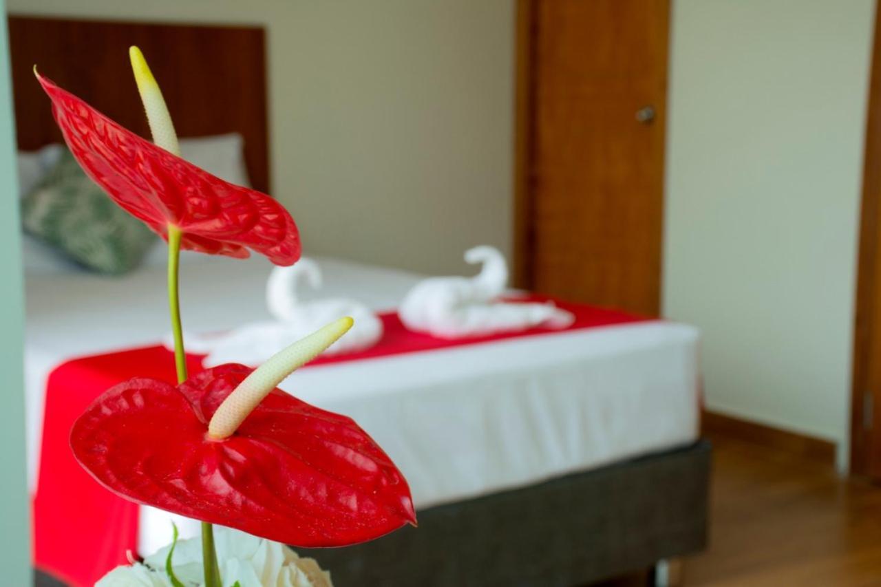 Hotel La Palmera De Oro Tarapoto Eksteriør bilde